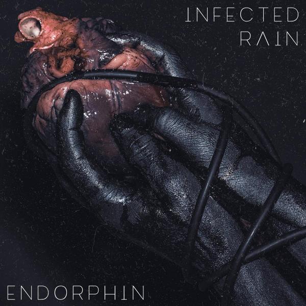 Vierde album van Infected Rain