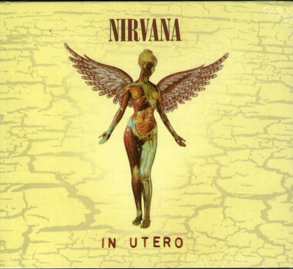 Nirvana-producent overleden
