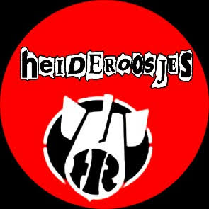 Ex-bassist Heideroosjes veroordeelt wegens kinderporno