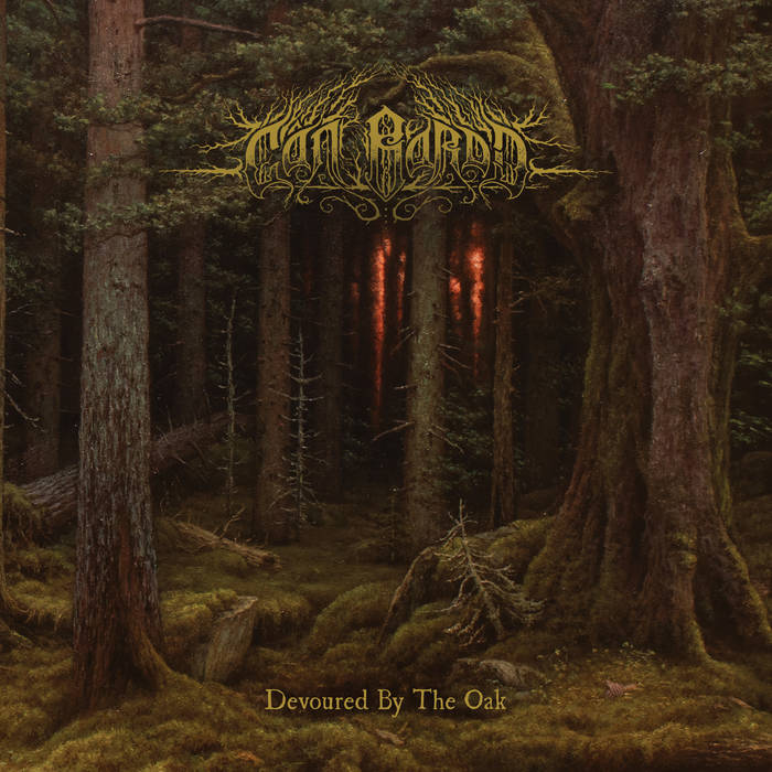 Cân Bardd  - Devoured By The Oak