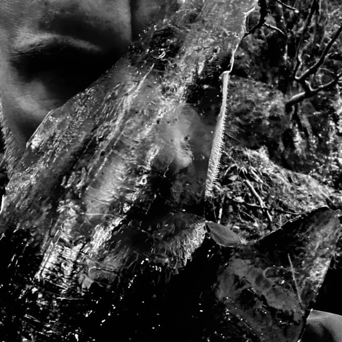 Review: Taake - En Skog Av Nidstang